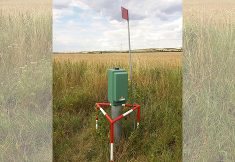 Single-Parameter-Sonde zur Erfassung des Nitratgehaltes (NO3)